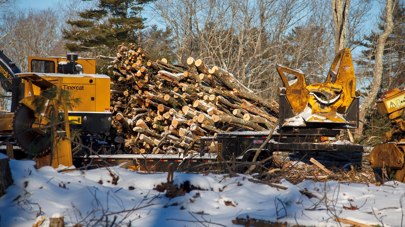 Maine Timber Industry